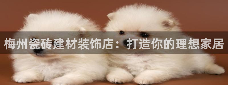杏鑫手机客户端怎么下载