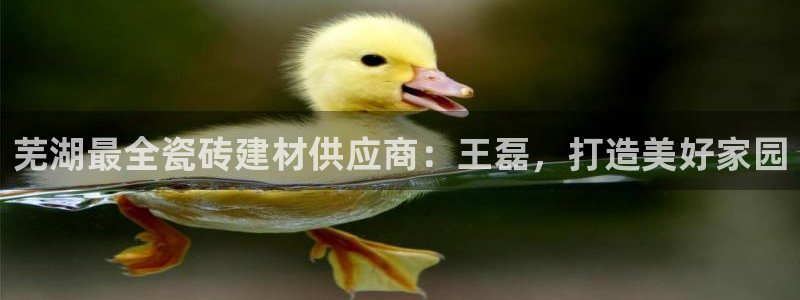 杏鑫平台正规吗