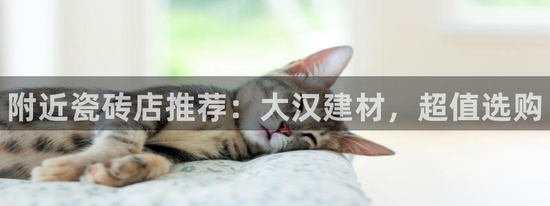 杏鑫平台直属哪个公司
