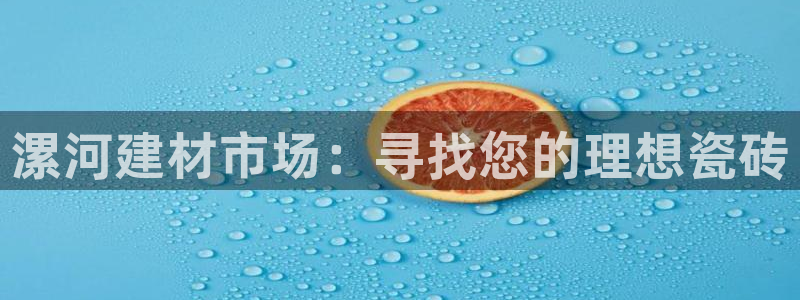 杏鑫代理注册资金多少