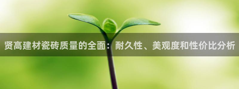 杏鑫娱乐官方网站客户端