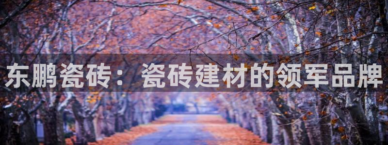 杏鑫平台是黑平台吗
