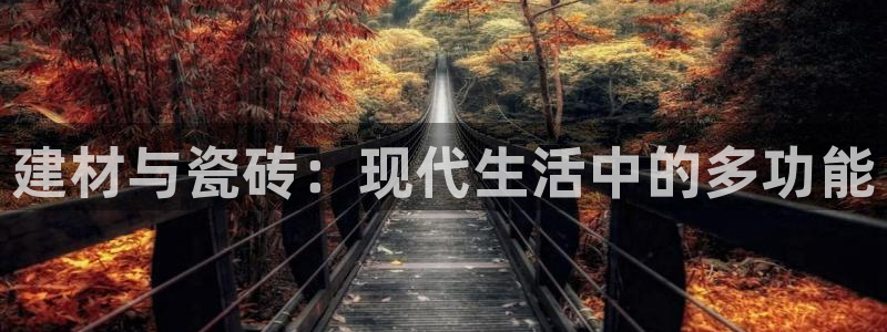 杏鑫平台招商电话号码查询