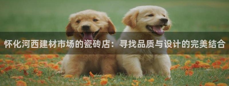 杏鑫平台代理注册多少钱啊