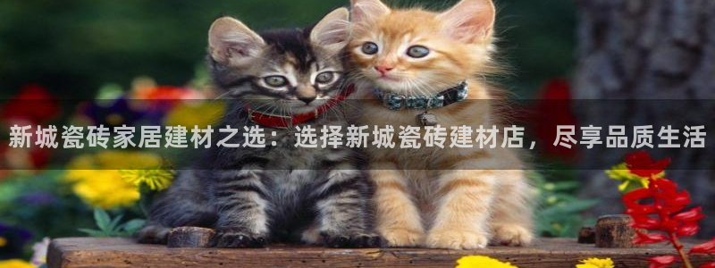 杏鑫平台是黑平台吗知乎