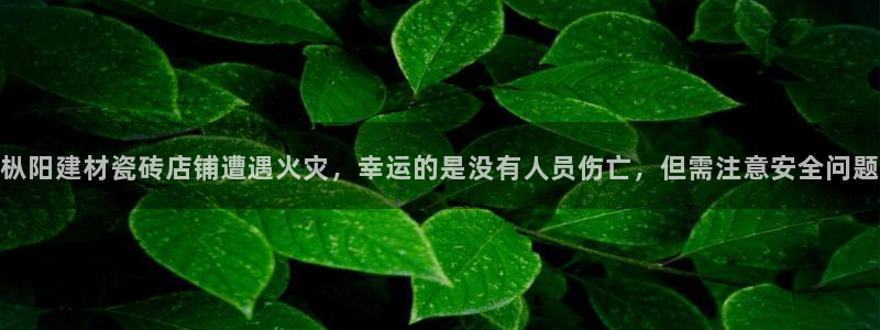 杏鑫平台登录地址是什么