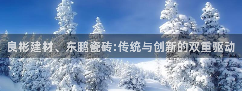 杏鑫代理注册资金多少