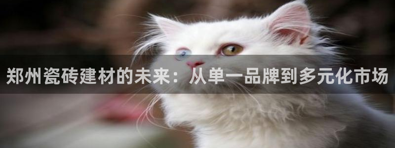 杏鑫平台测速怎么样