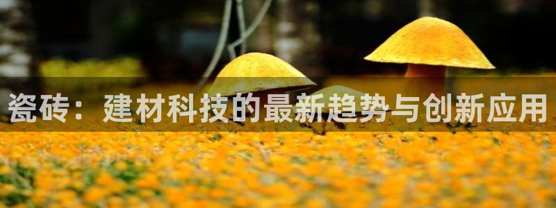 杏鑫娱乐是真的吗