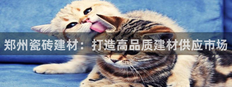 杏鑫平台怎么样黑钱吗安全吗