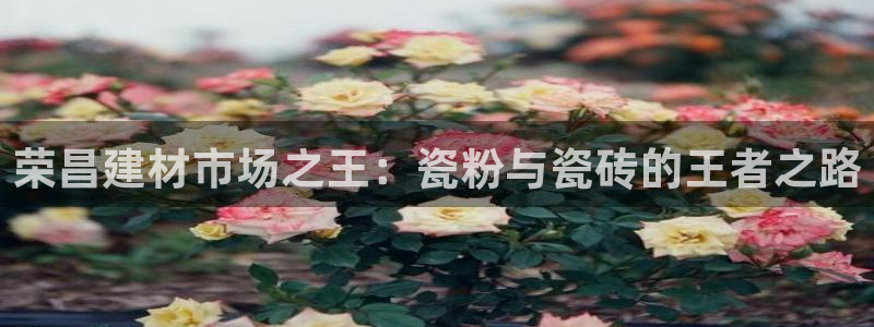 杏鑫注册平台官方网站入口