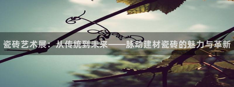 杏鑫手机客户端