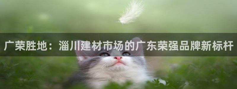 杏鑫娱乐是合法的吗是真的吗