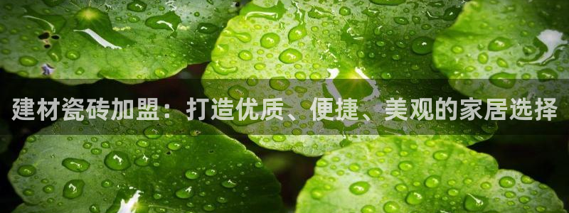 杏鑫平台是黑平台吗