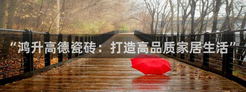 杏鑫平台代理注册流程