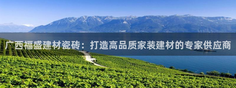 杏鑫官方平台怎么样啊安全吗