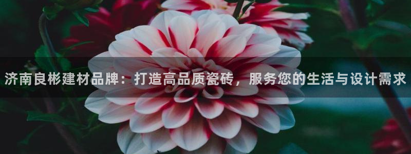 杏鑫平台代理怎么样可靠吗