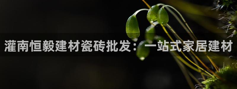 杏鑫平台代理注册多少钱一个