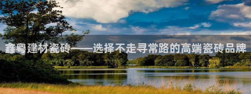 杏鑫官网注册账号密码是什么