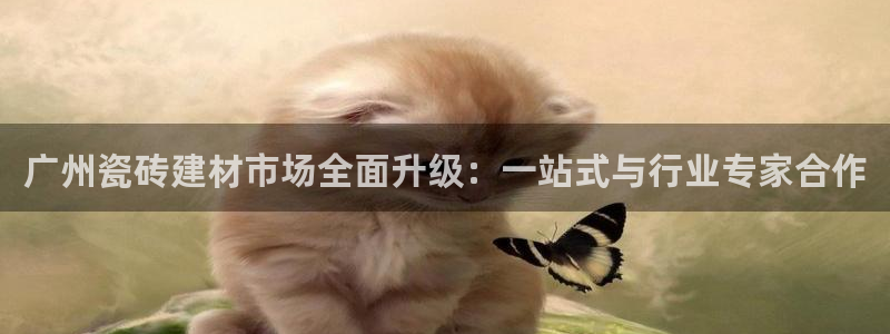 杏鑫平台注册地址是哪里