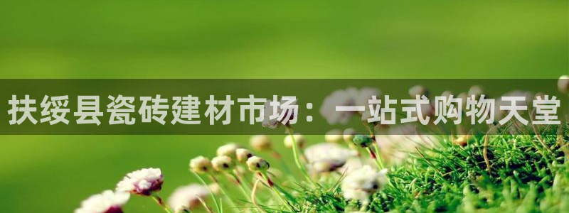 杏鑫平台登录地址是什么