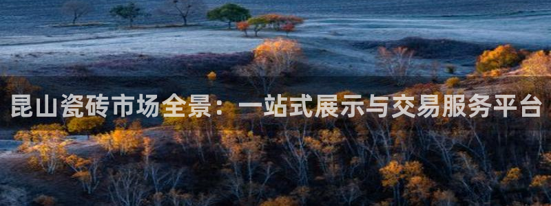 杏鑫平台注册地址是哪里