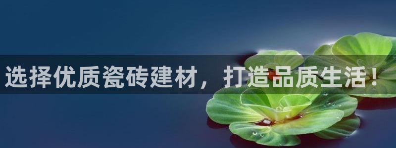 杏鑫平台代理注册