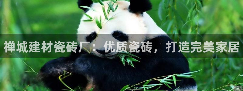 杏鑫平台在线注册