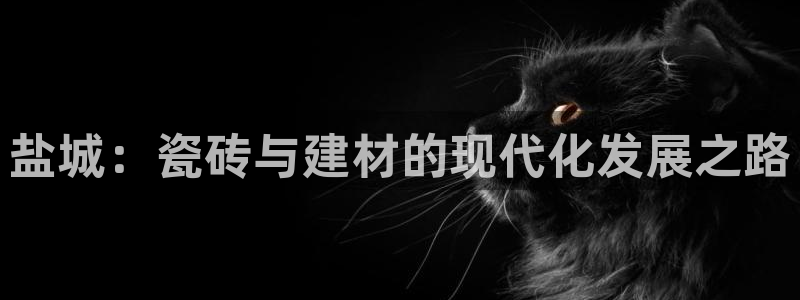 杏鑫代理注册资金多少