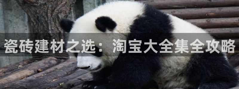 杏鑫平台代理注册流程图