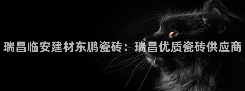 杏鑫平台代理注册要钱吗