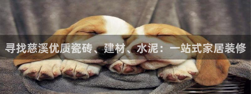 杏鑫平台代理注册多少钱啊