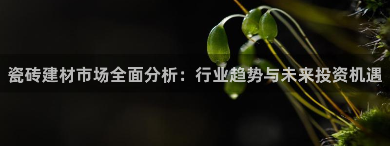 杏鑫平台注册网址是多少