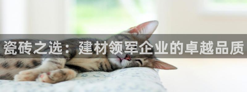 杏鑫登录注册测速