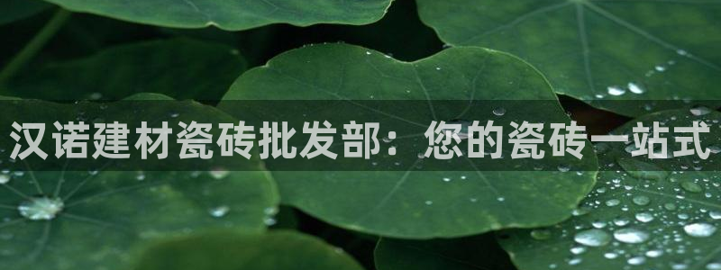 杏鑫娱乐官方网站客户端