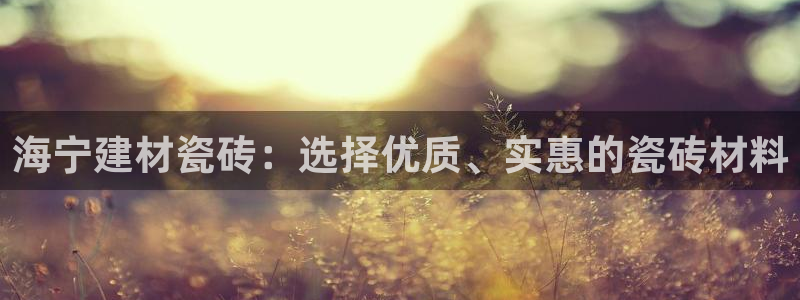 杏鑫平台注册地址是哪里