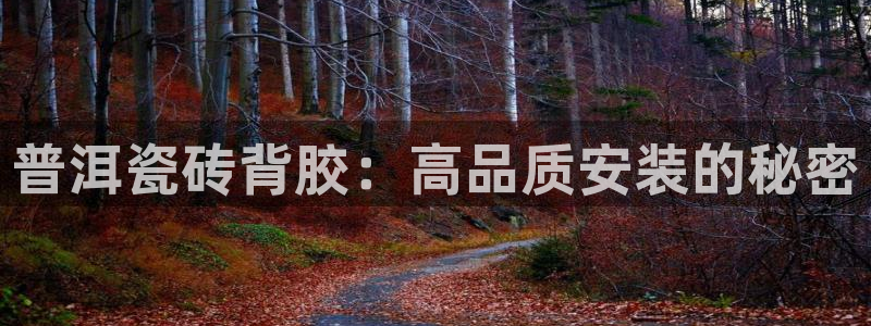 杏鑫娱乐官网首页