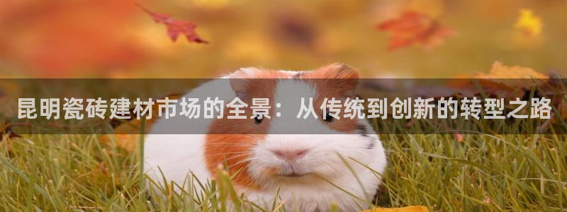 杏鑫官网注册账号怎么注册的