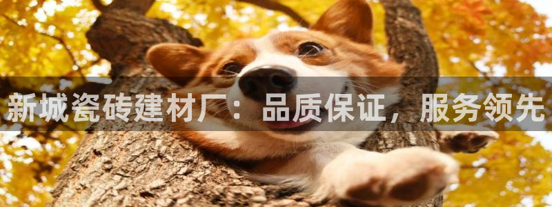 杏鑫娱乐是真的吗