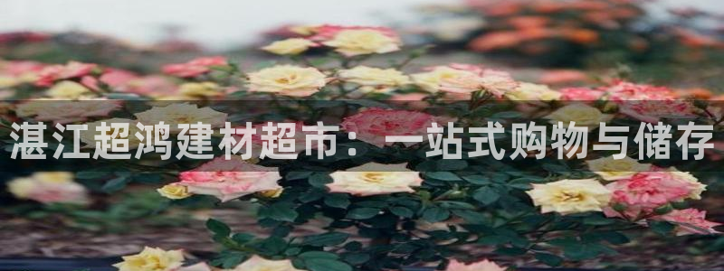 杏鑫平台代理怎么样可靠吗