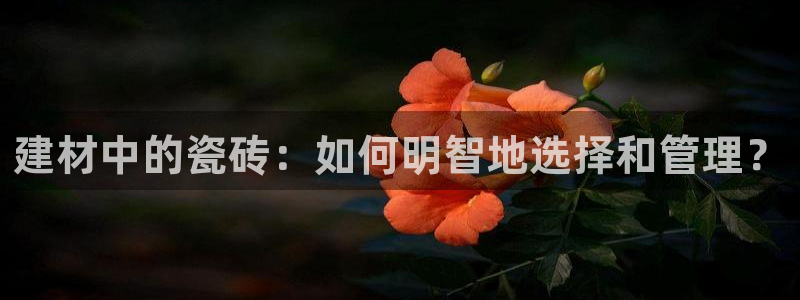 杏鑫娱乐官方网站客户端下载安装