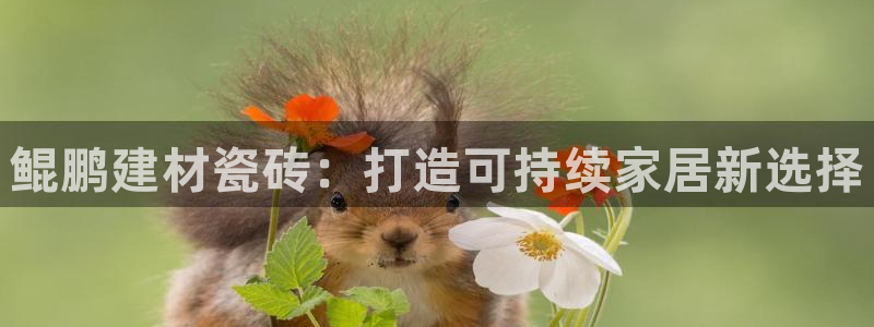 杏鑫娱乐靠谱吗