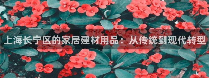 杏鑫登录注册测速