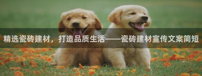 杏鑫平台代理注册多少钱一个